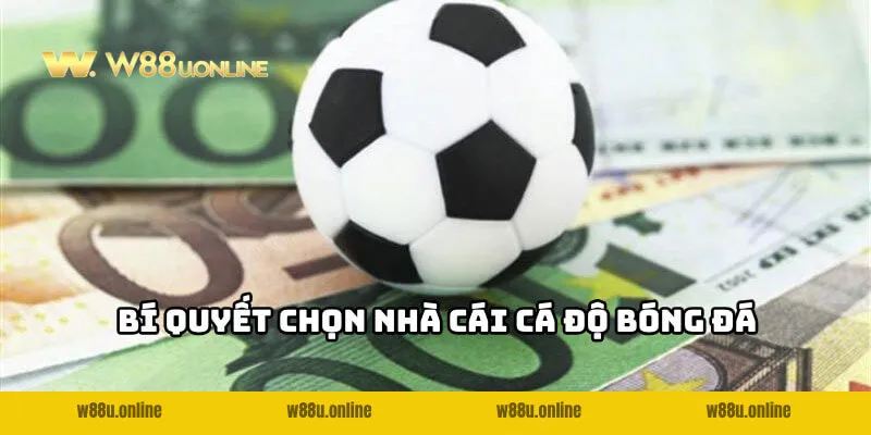 Mẹo chọn đúng nhà cái cá độ bóng đá chất lượng