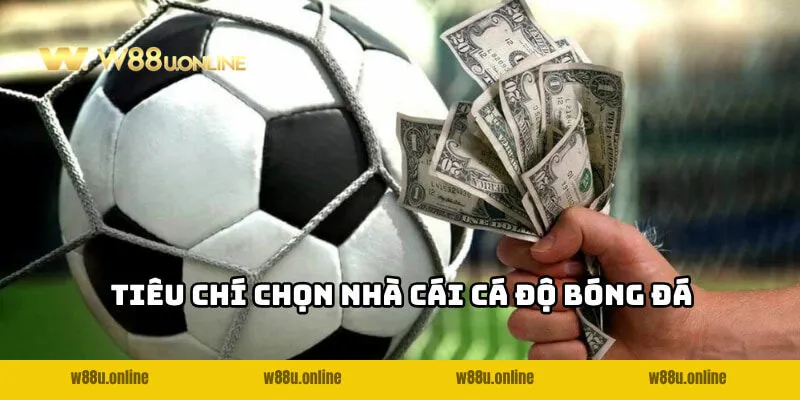 Tiêu chí lựa chọn nhà cái nào uy tín nhất để cá độ bóng đá