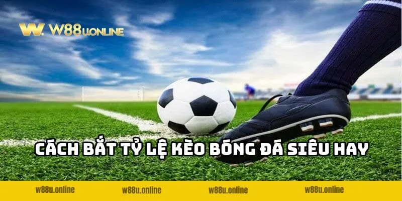 Cách bắt Tỷ lệ kèo bóng đá W88 siêu hay cho bạn